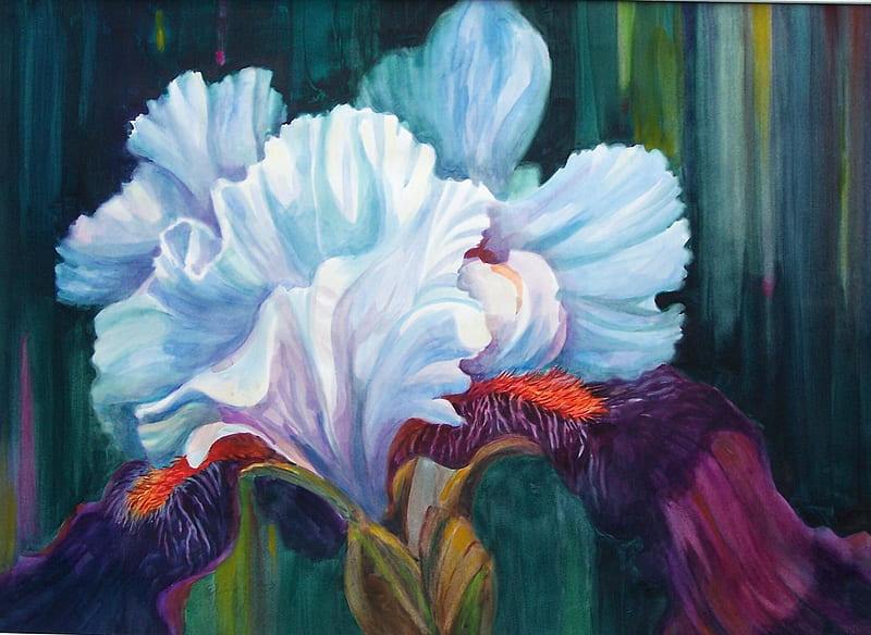 Iris In Show, stunning, bearded, showy, soft, spring, floral, leaves ...