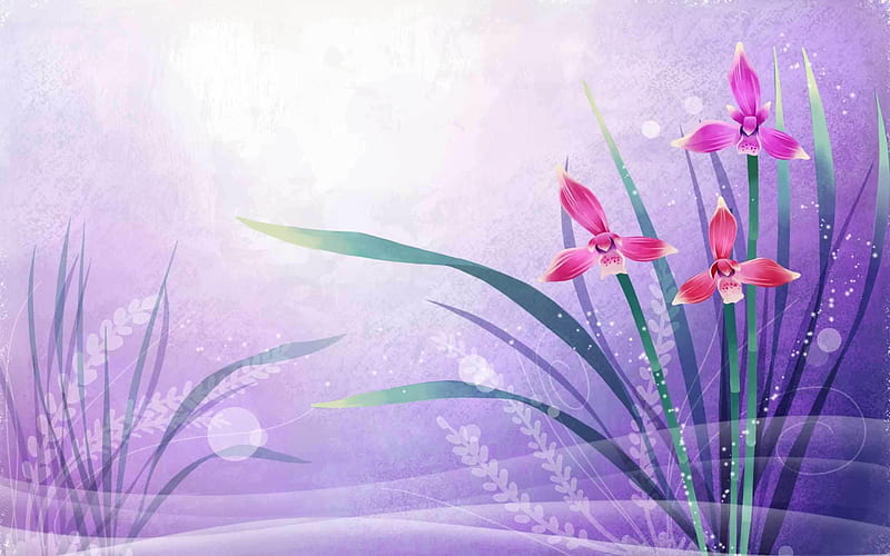 fushia 1920x1200. jpg, flowers, fushia, spring, iris, HD wallpaper