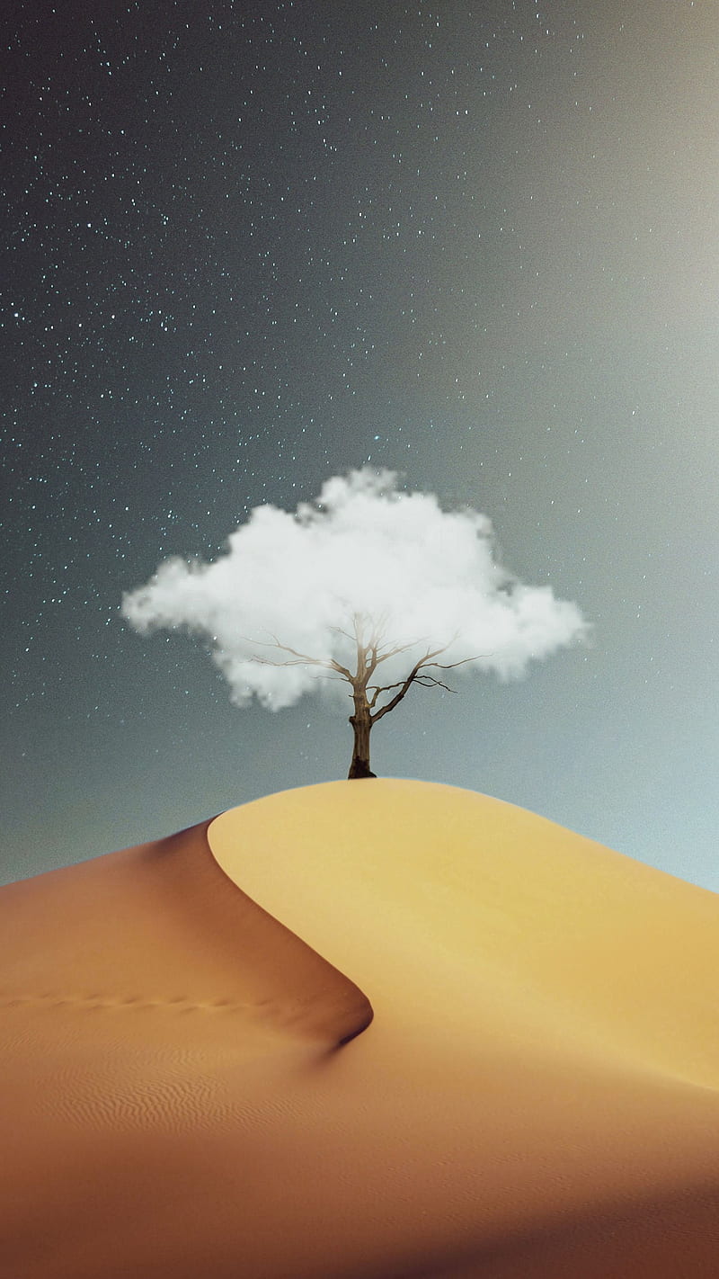 tree, cloud, desert, hill, sand, HD phone wallpaper