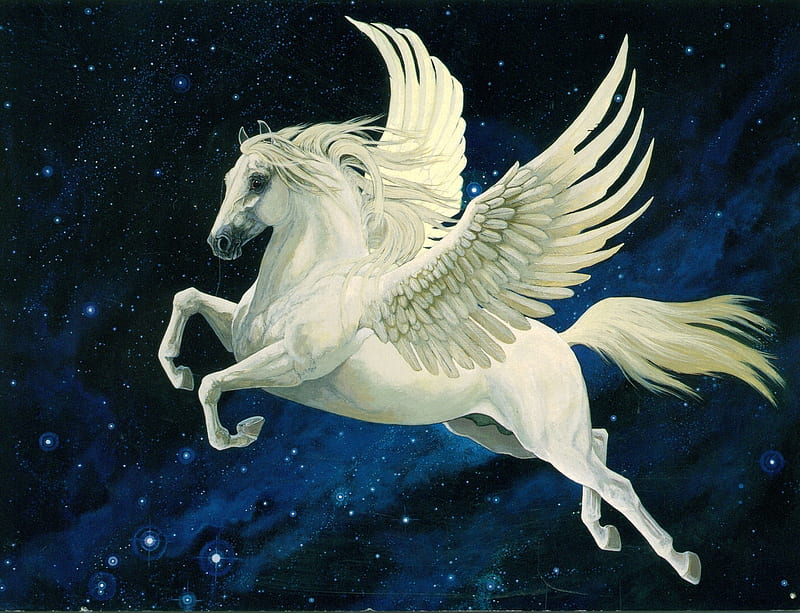 Pegasus, fantasy, wings, luminos, white, horse, blue, HD wallpaper