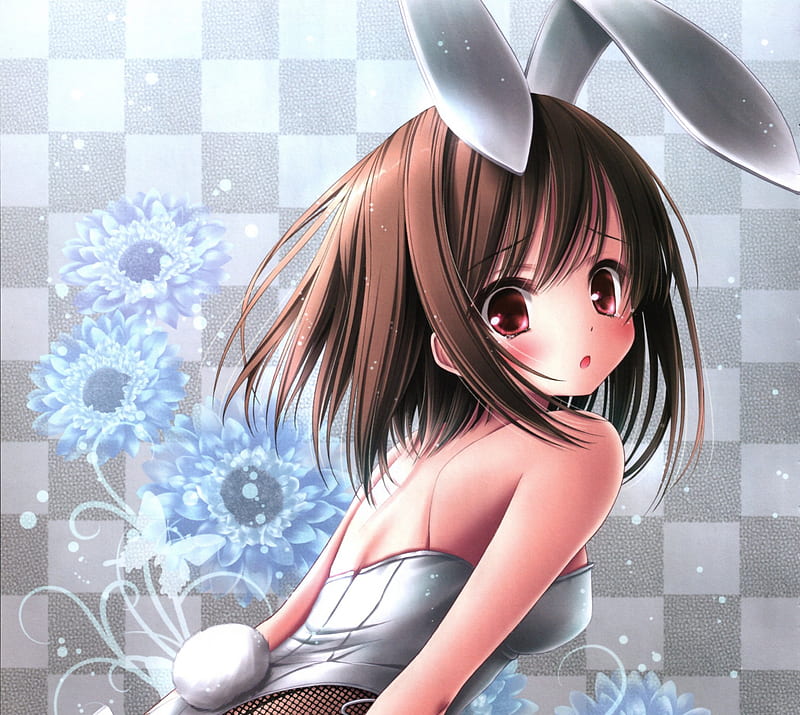 HD bunny suit wallpapers