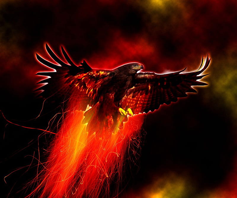 FIRE EAGLE, fire, bird, wild, eagle, colors, beauty, HD wallpaper