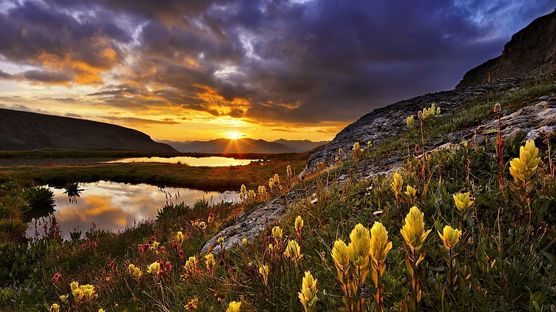 Sunrise in Colorado Mountains, blossoms, landscape, sky, flowers, mountains, usa, hills, morning, colors, ponds, clouds, HD wallpaper