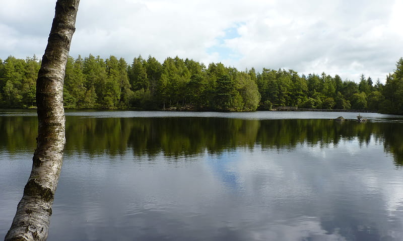 beautiful,lake, bonito, outlook, trees, gorgeous, HD wallpaper