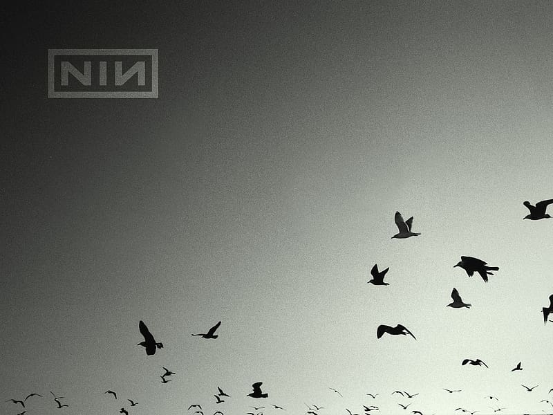 Music, Nine Inch Nails, HD wallpaper