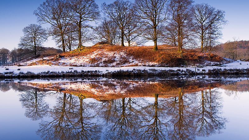 Clear Reflections, mound, clear, snow, bonito, trees, brown sand reflections, winter, HD wallpaper