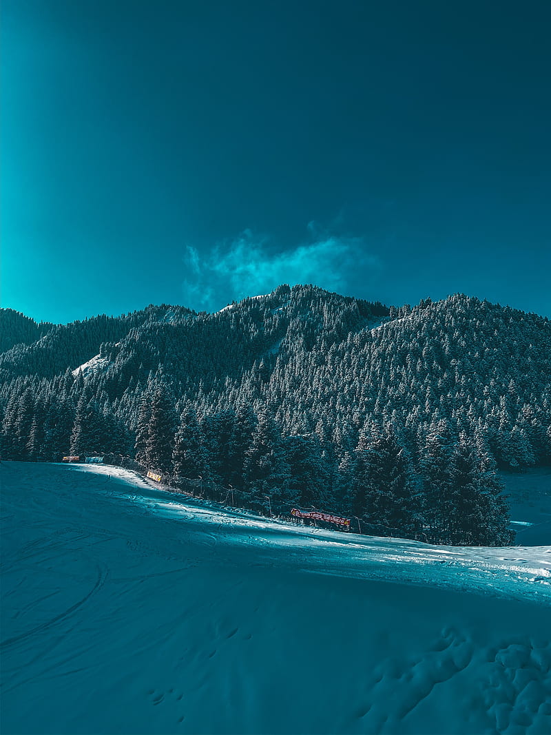 mountains, snow, trees, winter, ski run, HD phone wallpaper