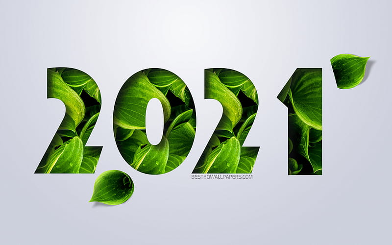 2021 concepts, Happy New Year 2021, eco concepts, 2021 New Year, green leaves, creative art, 2021 eco background, HD wallpaper