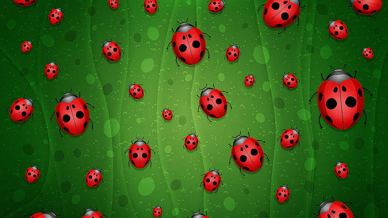 LadyBug's on my Screen, lady bug, green, background, red and black, HD wallpaper