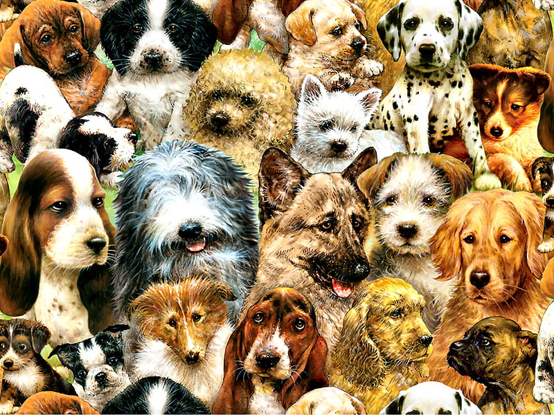 Dog Collage F, art, bonito, pets, artwork, canine, animal, painting, wide screen, dogs, HD wallpaper