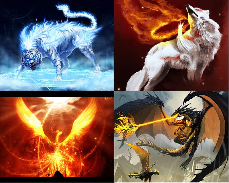 The Bestial Quadrangle, tiger, wolf, dragon, phoenix, HD wallpaper | Peakpx