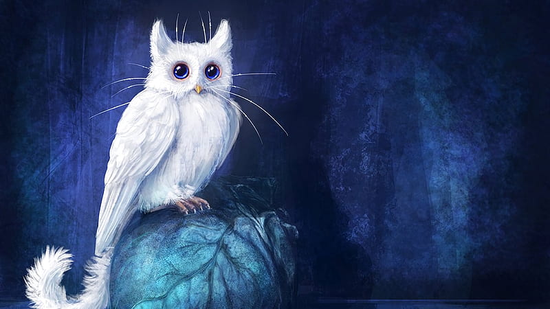 Cat-Owl, cat, pisici, white, creature, animal, blue, art, owl