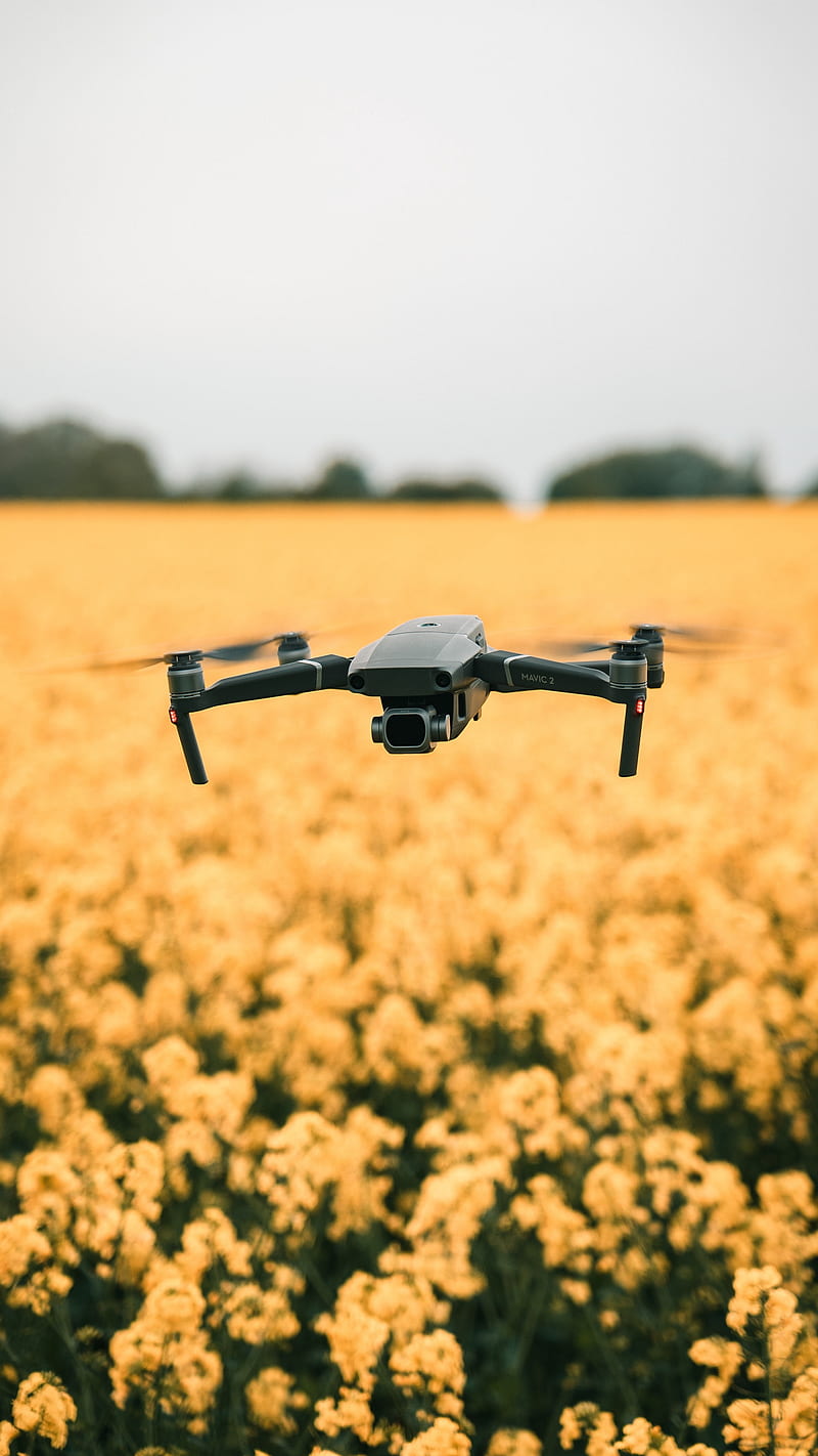 Flying Drone , field, yellow, flowers, flight, quadcopter, fly, nature, technology, HD phone wallpaper