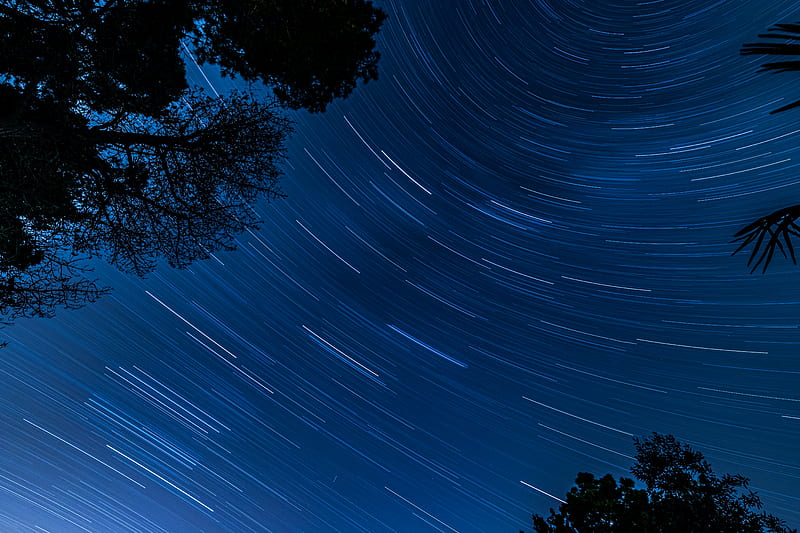 starry sky, trees, stars, blur, rotation, long exposure, dark, HD wallpaper