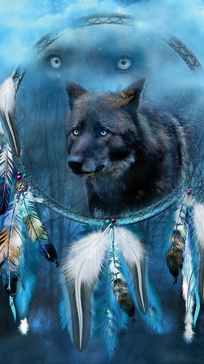 wolf, american, animal, blue, catcher, dream, feather, native, HD phone wallpaper