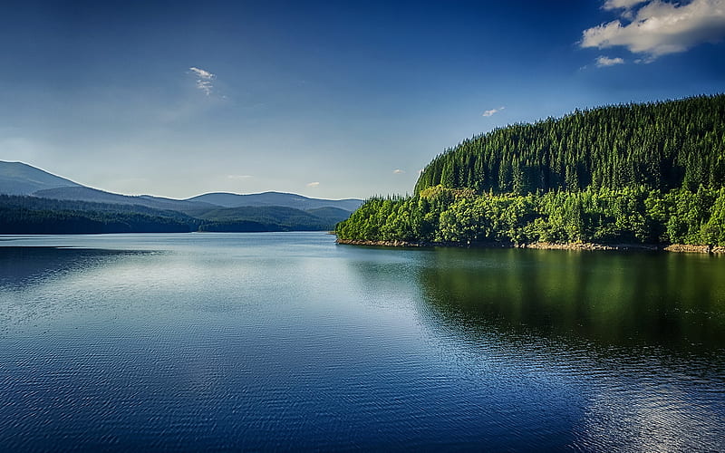 Romania, summer, lake, forest, Europe, HD wallpaper
