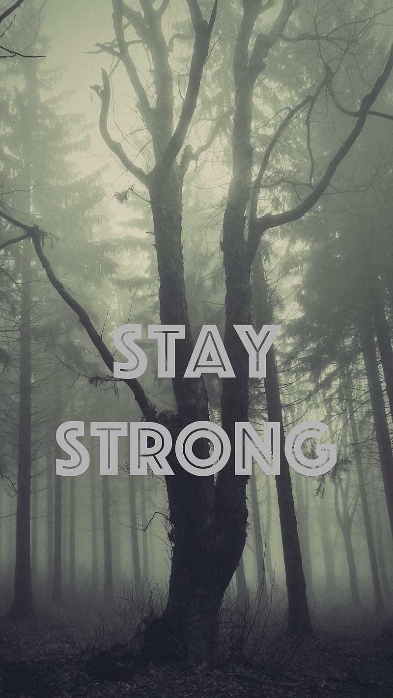 Stay Strong , inspiration, motivation, fog, inscription, inspirational, quote, stay strong, HD phone wallpaper