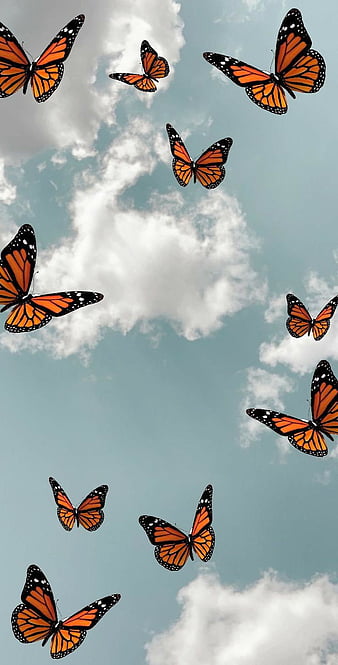 Aesthetic butterfly, butterflies, nature, HD phone wallpaper