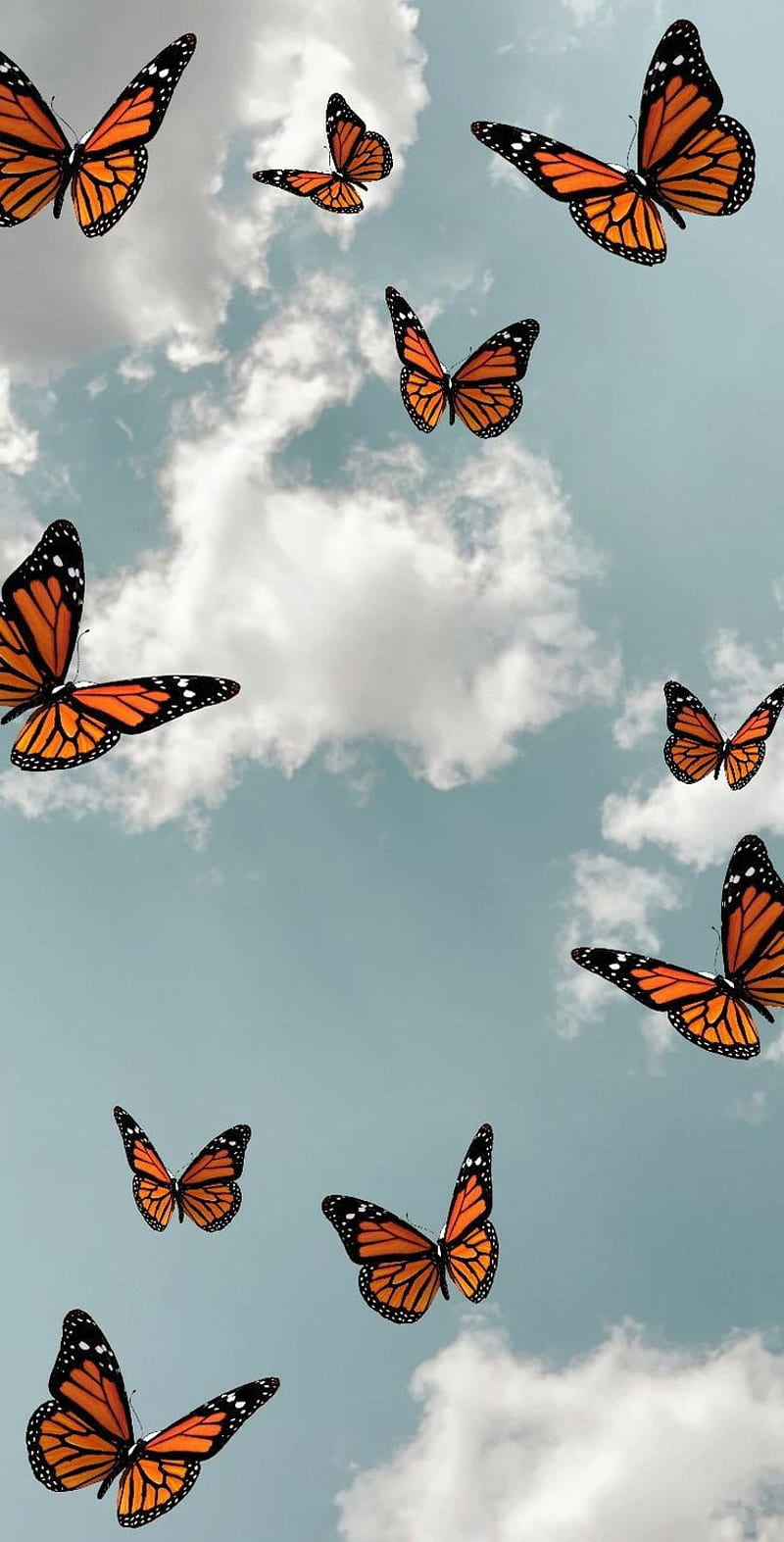 Aesthetic butterfly , butterflies, nature, HD phone wallpaper