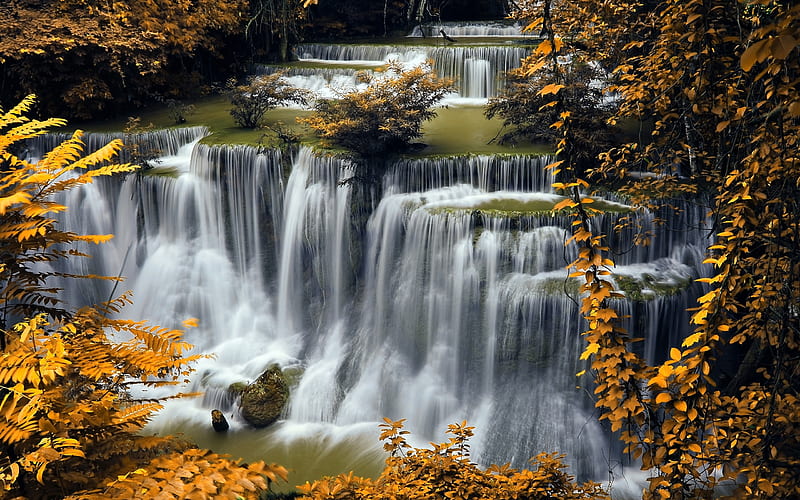 autumn, waterfall, river, autumn leaves, yellow leaves, Croatia, Plitvice Lakes, HD wallpaper