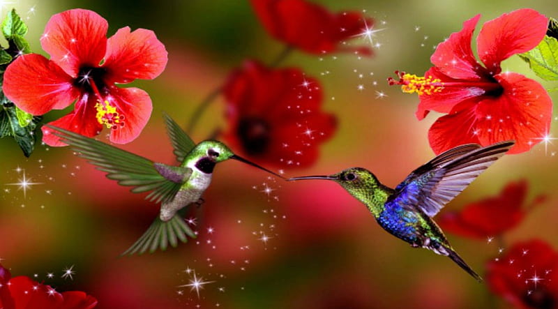 Humming birds and flowers, birds, red, flowers, spring, HD wallpaper