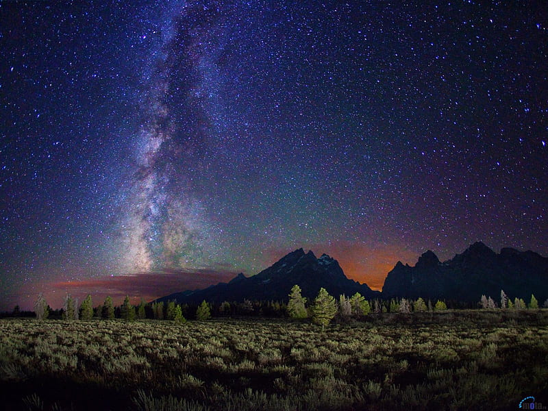 Starry night over Grand Teton Range, stars, mountains, nature, trees, sky, grand teton, night, HD wallpaper