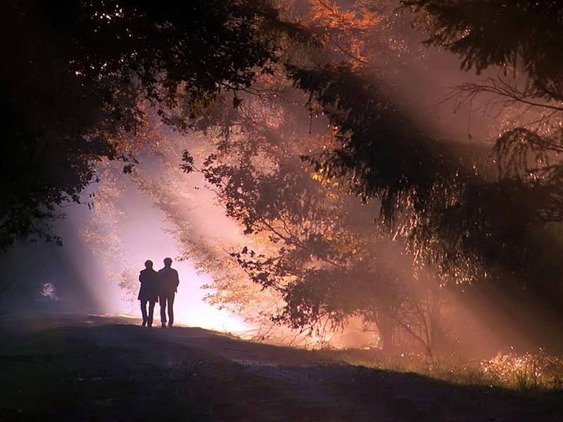 Strolling together, evening, trees, couple, mist, HD wallpaper