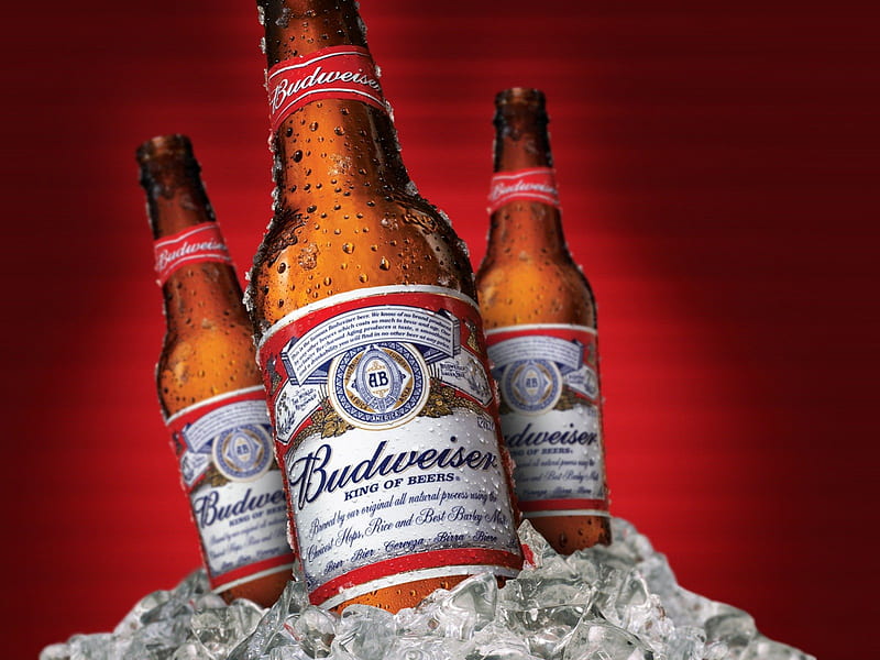 BUDWEISER ON ICE, ice cubes, alcohol, budweiser, drink, beer, cold, HD wallpaper