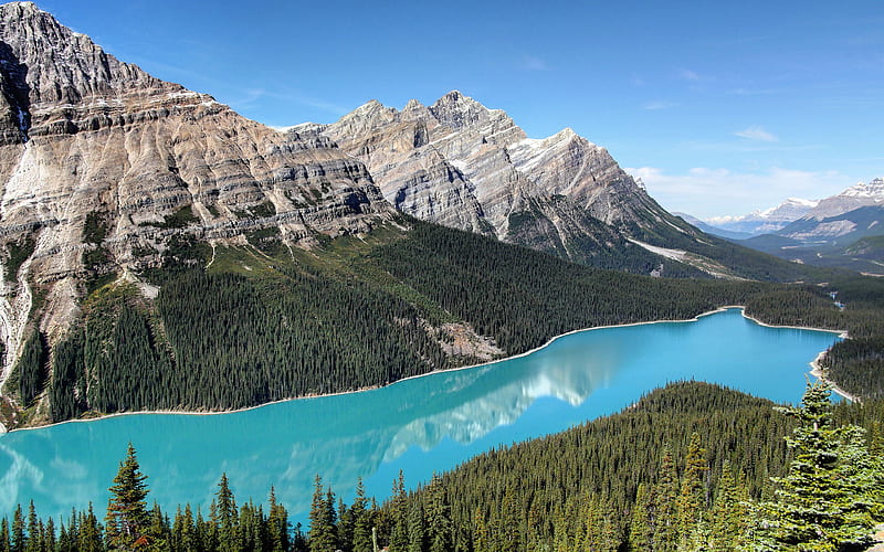 Peyto Lake, Canada Banff, mountains, forest, Alberta, summer, canadian landmarks, Banff National Park, HD wallpaper
