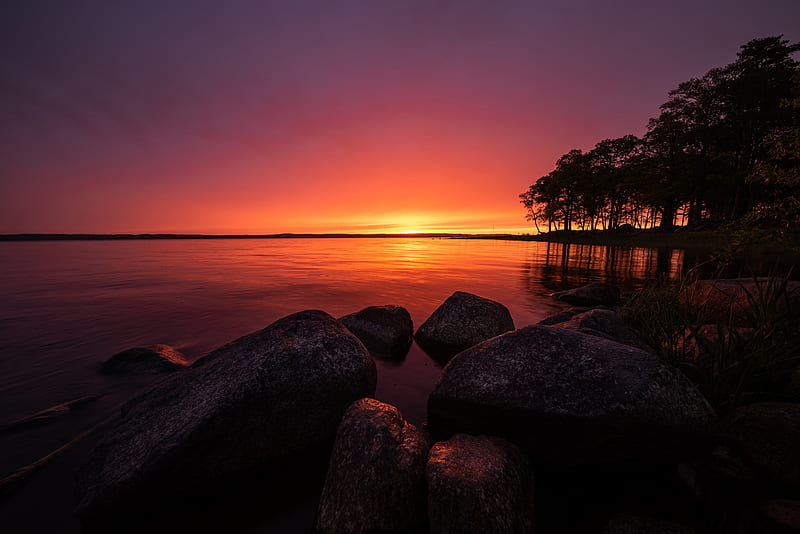 Lakes, Lake, Stone, Sunrise, Sweden, Tree, HD wallpaper