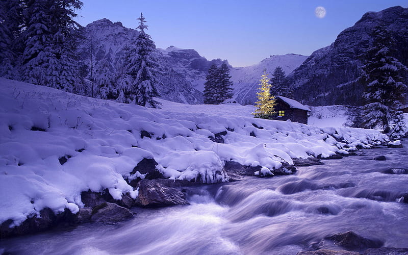 Winter house, forest, house, trees, winter, cold, fantasy, moon, water, purple, mountains, nature, river, sesons, white, night, HD wallpaper