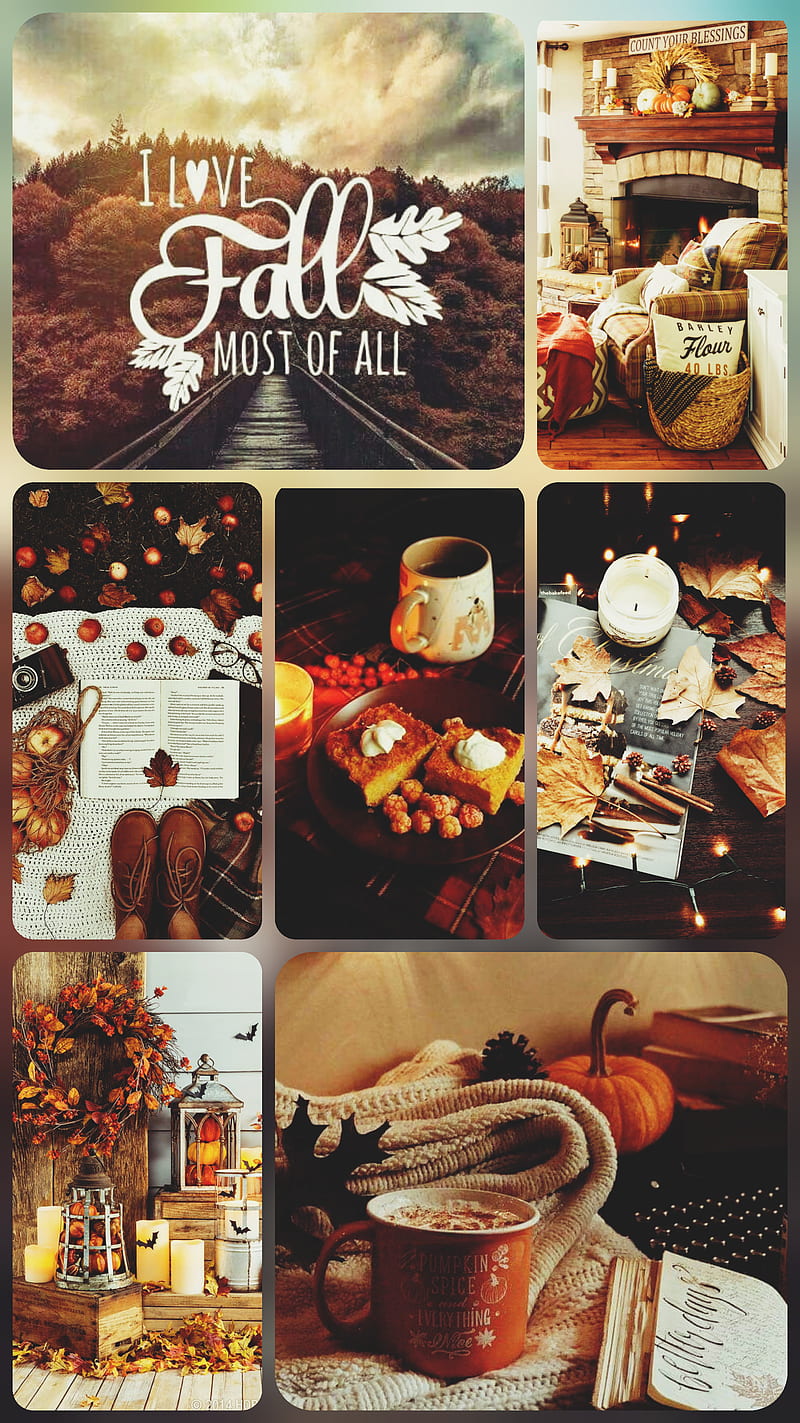 I love fall, autumn, gold, HD phone wallpaper