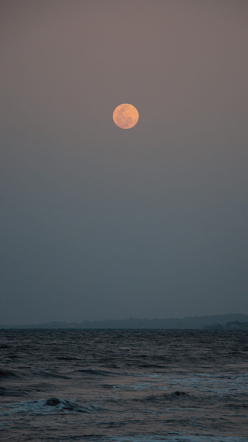 evening, moon, horizon, water, HD phone wallpaper