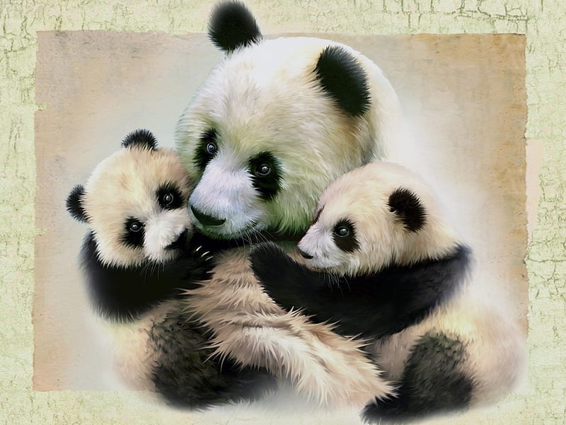 Panda bears, art, bear, black, animal, panda, cute, cub, white, howard robinson, HD wallpaper