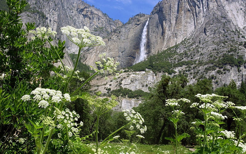 Yosemite National Park- Upper Falls, HD wallpaper