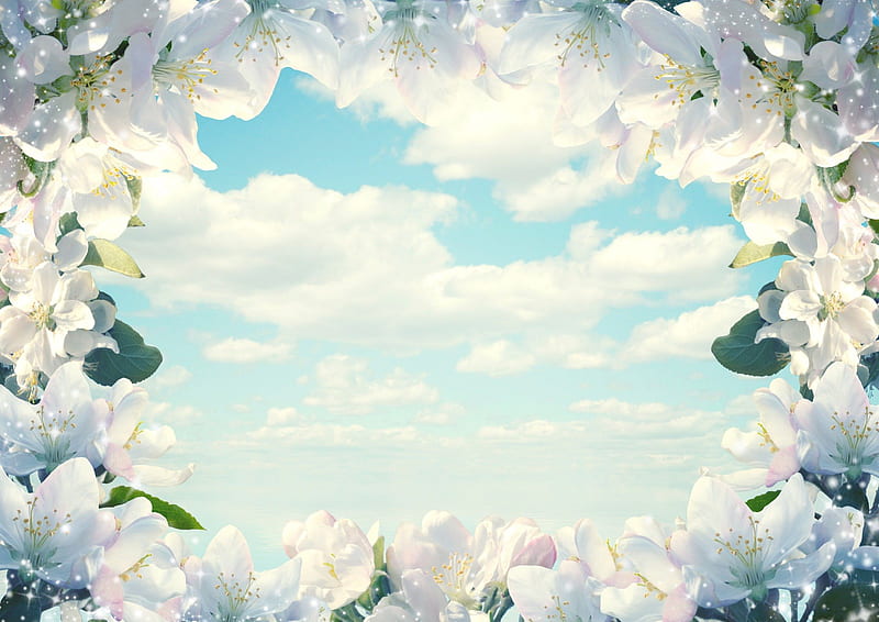 Frame of Flowers!, flowers, nature, sky, frame, HD wallpaper