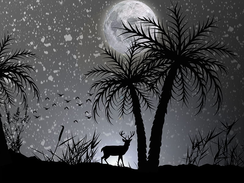 Reindeer Dark Night Moon Minimalist, reindeer, deer, dark, moon, minimalism, minimalist, monochrome, black-and-white, HD wallpaper