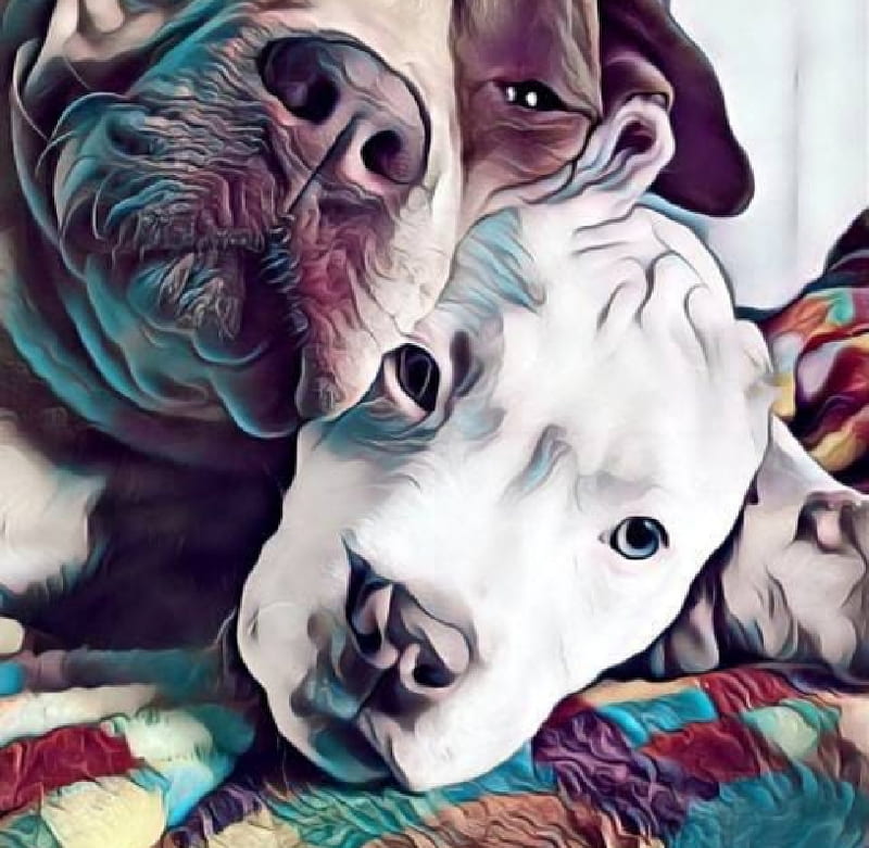 Perros, love, cachorros, colombia, dibujo, dog, pintura, pitbull, ternura,  HD wallpaper | Peakpx