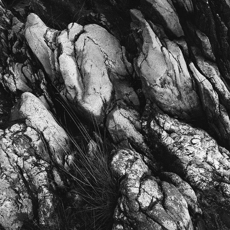 stones, relief, grass, black and white, HD phone wallpaper