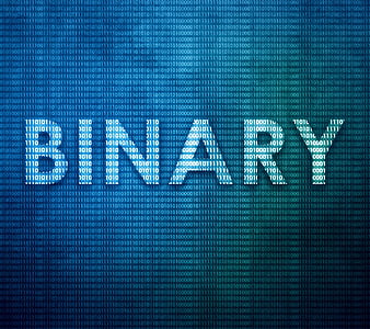 Binary Text, binary, blue, text, HD wallpaper