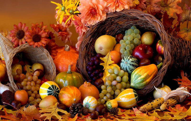 THANKSGIVING CORNUCOPIA, fall, harvest, friuts, veggies, HD wallpaper
