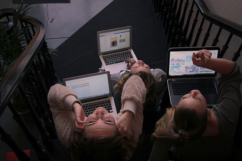 three person using laptops while sitting on ladder, HD wallpaper