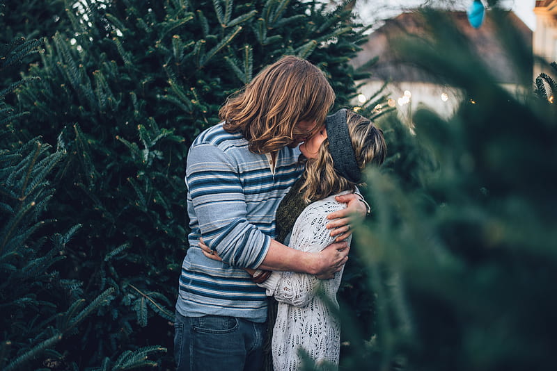 man kissing woman near pine tree, HD wallpaper