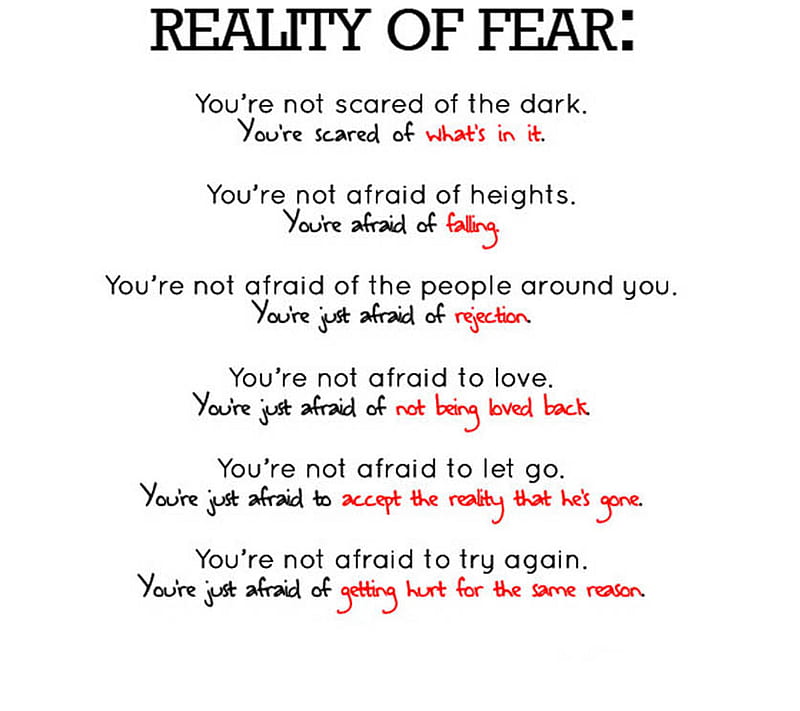 Reality Of Fear, fact, HD wallpaper