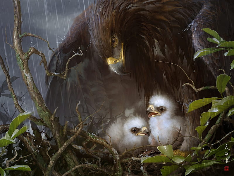 Eagle's chicks, art, wings, eagle, chick, mother, baby, nest, bird, feather, painting, rain, pictura, white, HD wallpaper