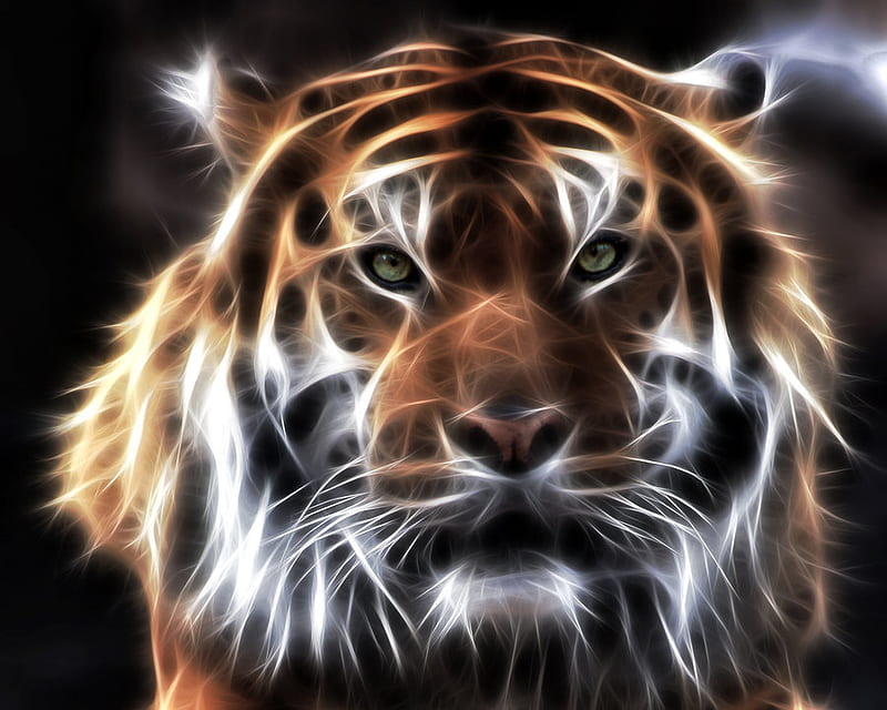Beautiful Fractal Siberian Tiger, siberian, tiger, light, fractal, HD wallpaper