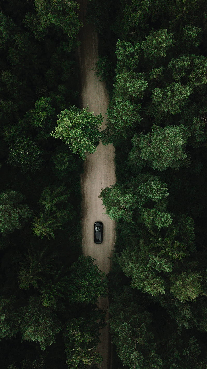 road, car, forest, aerial view, trees, HD phone wallpaper