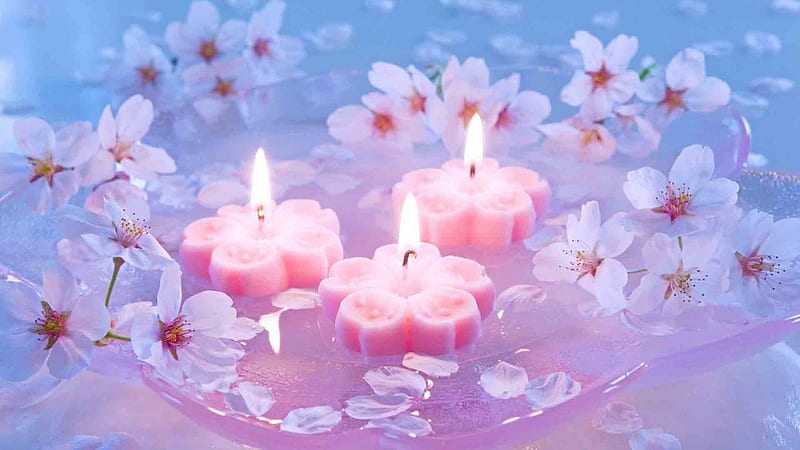 Three Pink Candles Surrounded By Pink Blossom Flowers On Water Beautiful, HD wallpaper