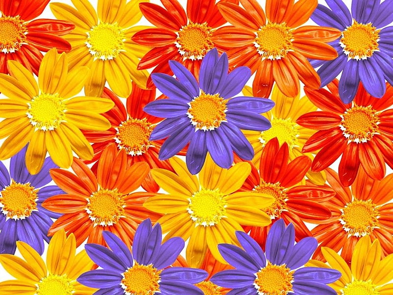 TEXTURED FLOWERS, yellow, bluish, purple, orange, HD wallpaper