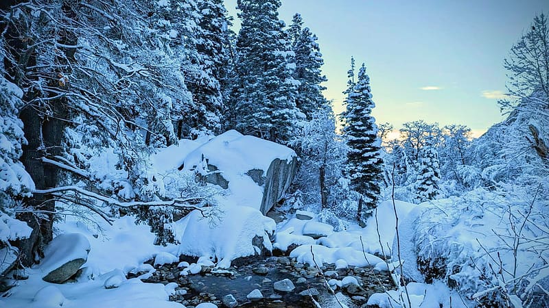 Little Cottonwood Canyon, Utah, landscape, trees, winter, snow, usa, HD wallpaper